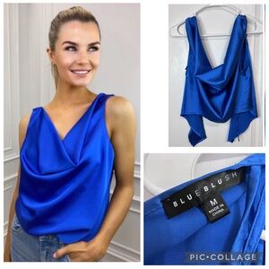 Blue Blush Women's Vibrant satin  Blue V Neck Blouse size M